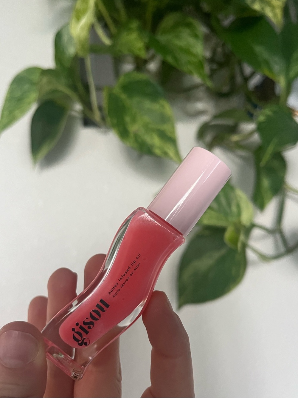 Brand New Honey Infused Lip Oil - Raspberry Swirl - Sheer Cool Pink